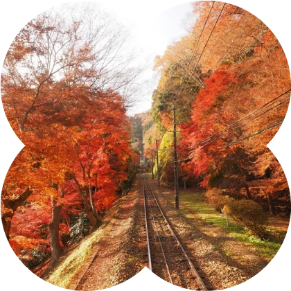 Mt. Takao